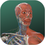 万康人体解剖 V3.2.14