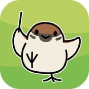 鸟之音 V1.12.0