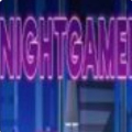 nightgamer手机版 V0.1.0