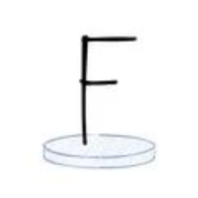 涂鸦大冒险 V1.0.0