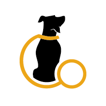 夜视GO热像仪 V6.2.8 安卓版