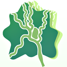 成都新津通 V1.2.0安卓版