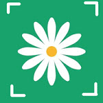 拍照识花草 V1.1