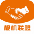 靓机联盟 V1.0.39 安卓版