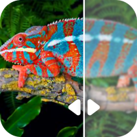 云川图片修复 V22.2.18