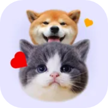 猫狗语宠物翻译器 V1.1