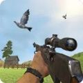 鸽子射击 V1.1.9