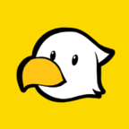 小鸡的追逐 V211228