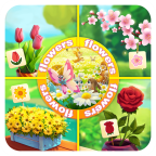 亿万花园 V1.0