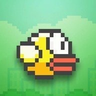 不一样的笨鸟 V2.0.0