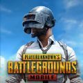 pubg m(国际服)手游下载免费最新版2022  V2.0.0