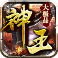 神王大极品手游官方最新版  V1.80