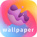 wallpaper壁纸大全app下载最新版  V1.8