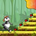 熊猫跳跃跑酷游戏手机版（panda jump run）  V6.0