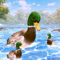 鸭子家庭生活模拟器3D游戏下载安装中文版（Duck Family Life Simulator 3D）  V1.0.2