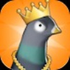 流氓鸟游戏官方手机版  V1.0