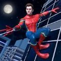 蜘蛛英雄超级挑战游戏安卓版下载（Spider Hero Super Challenge）  V1.0.6