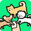 和狗一起玩游戏下载安装（Play with Dogs）  V3.0.0