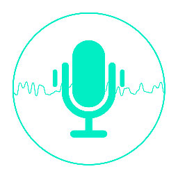 录音大师 V3.4.4 安卓版