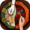 阴阳锅下载安装官方版   V1.0