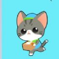 盒盒喵递游戏官方安卓版（Boxrush）  V1.0.1