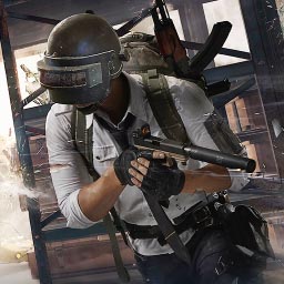 吃鸡活下去 V1.0