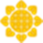 红蜻蜓app V1.1.1 安卓版