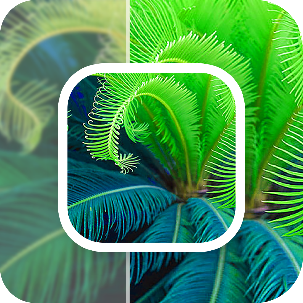 模糊照片修复 V23.11.24