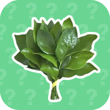 广西大师语音盒 V1.02