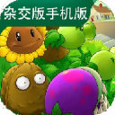 伴车星 V6.7.4