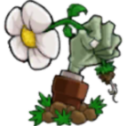 植物大战僵尸可接头版 V0.01