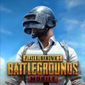 pubgmobile.eom国际服 V3.9.0