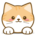 橘猫4k V3.0.0