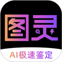 图灵鉴定 V2.4.48