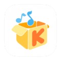 伴车星 V6.7.4