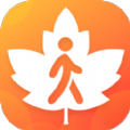 枫叶悦步计步APP官方版 V2.0.3