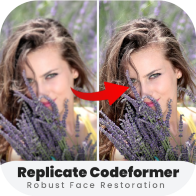 codeformer汉化版 V1.9