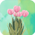 壁纸最美 V2.3.1