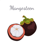 山竹社区2025 V3.6.1