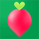 叮咚买菜官方版 V12.6.0