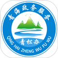 青松办 V1.2.8