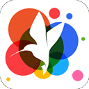 360小鸟壁纸 V3.0.2