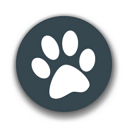 兽音译者最新版2024 V1.5