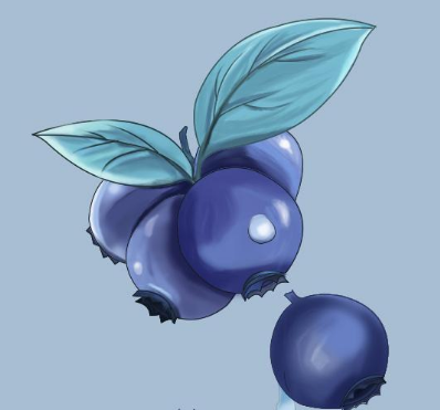 蓝莓软件库 V1.0