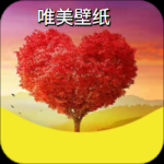 ks壁纸 V1.0.0