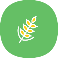 麦子下载1.0.9 V2.0.4