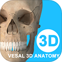 维萨里3d解剖免费版 V6.8.0