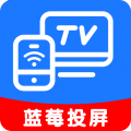 蓝莓投屏apptv版 V1.0.6