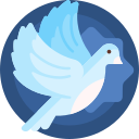 白鸽软件库 V1.0