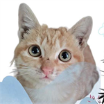 电工仿真实练 V1.0